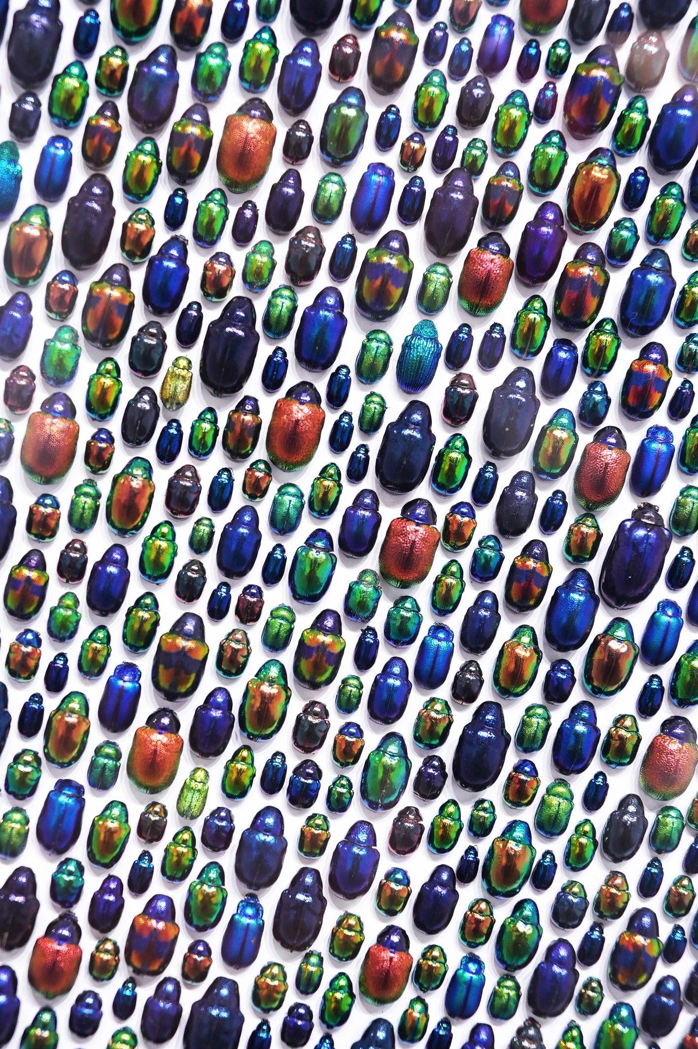 resin artwork portfolio grid